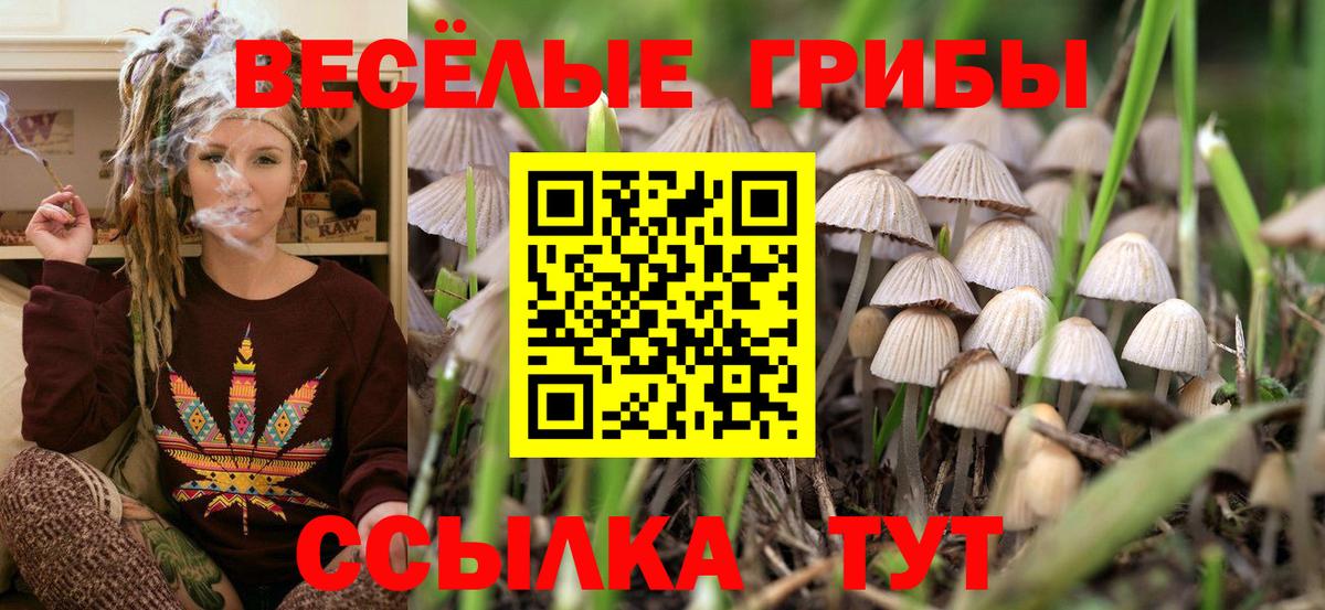 Псилоцибиновые грибы ЛСД  Вход с VPN  Альметьевск 